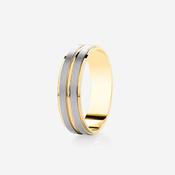 HENDERSON 5mm | Men's Two Toned Wedding Ring in 9ct Gold