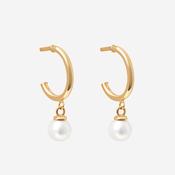 Petite Pearl Drop Earrings | 9ct Gold image