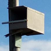 Genesis Kestrel Nest Box image