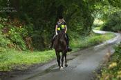 Equestrian High Viz - D1 Style Vest image