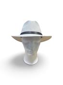 Failsworth Irish Linen Safari Natural