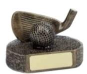 Gold award R665 image
