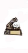 Gaelic football award R150 (SMALL)