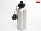 Economy Bottle Silver image
