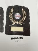 H408-79 large image
