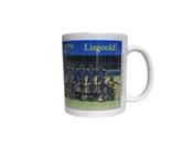 Lisgoold 2020 County Junior A Hurling Champions image
