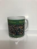 Meath 2021 Ladies Football Champions