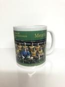 Meath 1996 Football Champions