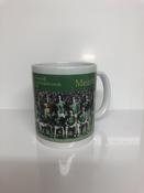 Meath 1999 Football Champions