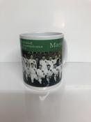 Mayo 1951 Football Champions