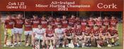 Cork 2021 All-Ireland Minor Hurling Champions