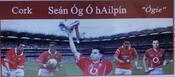 Cork Legend Sean Og O hAilpin