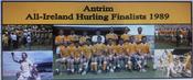 Antrim 1989 All-Ireland Hurling Finalists