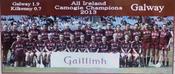 Galway 2013 All-Ireland Camogie Champions image