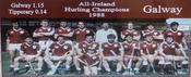 Galway 1988 All-Ireland Hurling Champions image