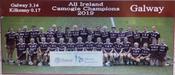 Galway 2019 All-Ireland Camogie Champions image