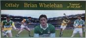 Offaly Legend Brian Whelehan image