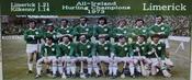 Limerick 1973 All-Ireland Hurling Champions image