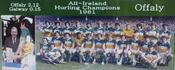 Offaly 1981 Hurling Champions image