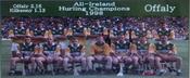 Offaly 1998 Hurling Champions image