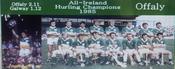 Offaly 1985 Hurling Champions image