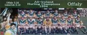Offaly 1994 Hurling Champions image
