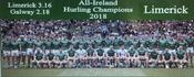 Limerick 2018 All-Ireland Hurling Champions image