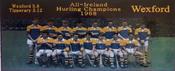 Wexford 1968 Hurling Champions image