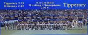 Tipperary 2016 Hurling Champions image