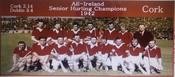 Cork 1942 All-Ireland Hurling Champions