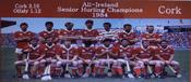 Cork 1984 All-Ireland Hurling Champions