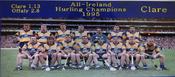 Clare 1995 All-Ireland Hurling Champions