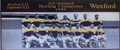 Wexford 1960 Hurling Champions