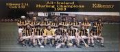 Kilkenny 1983 Hurling Champions image