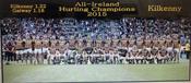 Kilkenny 2015 Hurling Champions