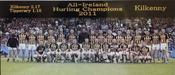 Kilkenny 2011 Hurling Champions image