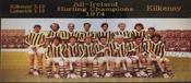 Kilkenny 1974 Hurling Champions image