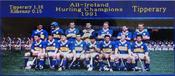 Tipperary 1991 Hurling Champions image