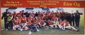 Eire Og 2020 Intermediate A Hurling Champions image