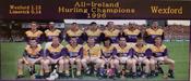 Wexford 1996 Hurling Champions image