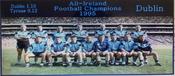 Dublin 1995 Football Champions image