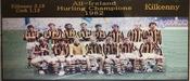 Kilkenny 1982 Hurling Champions image