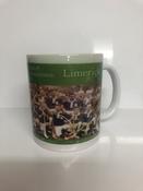 Defect Corner - Limerick 1936 Hurling Champions Mug image