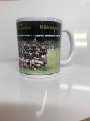 Kilkenny 1979 Hurling Champions image