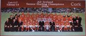 Cork 2004 All-Ireland Hurling Champions image