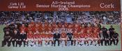 Cork 2005 All-Ireland Hurling Champions image