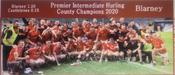 Blarney 2020 County Premier Intermediate Hurling Champions