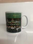 Stock Sale - Kerry 1985 Football Champions