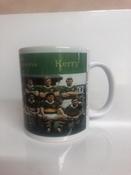 Stock Sale - Kerry 1986 Football Champions