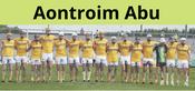 Antrim Hurling Abu image